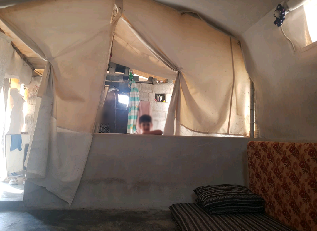 Displacement response case_ Dair Ballut