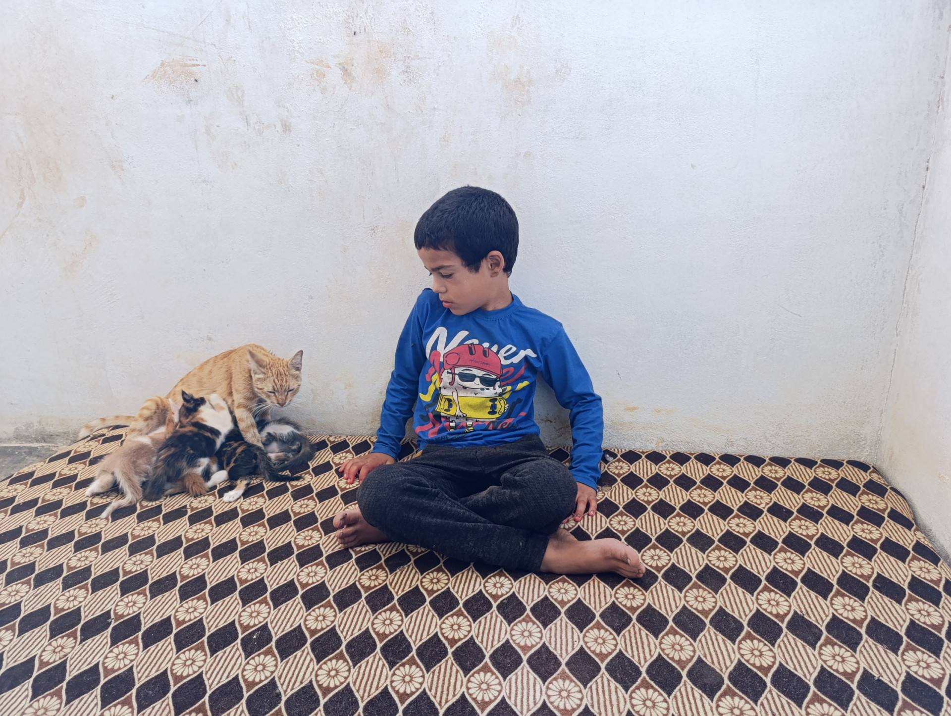 Your donations can help save the vision of a little child!