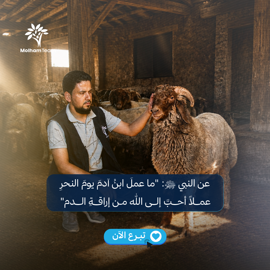 اضحية 11