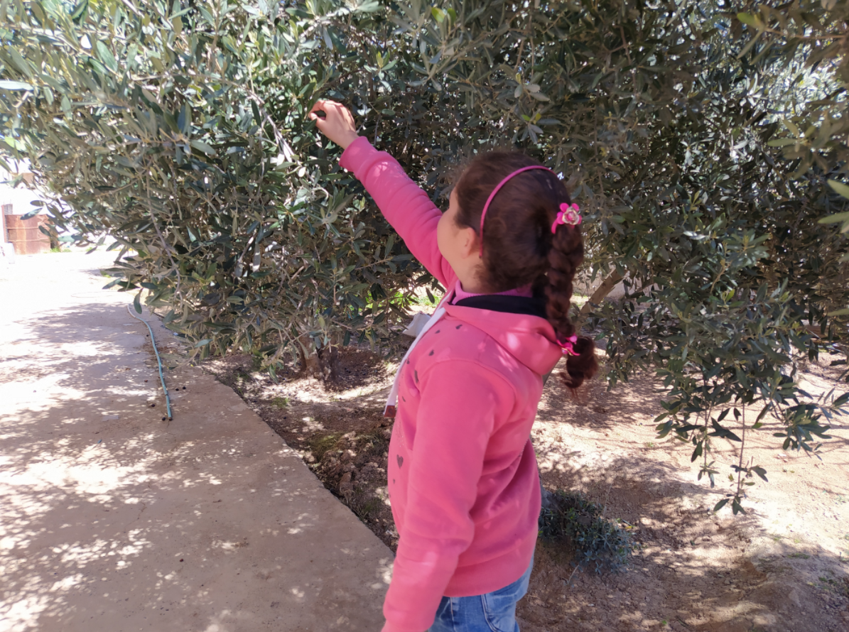 Nour, ein Halbwaisenkind aus Tal Abyad