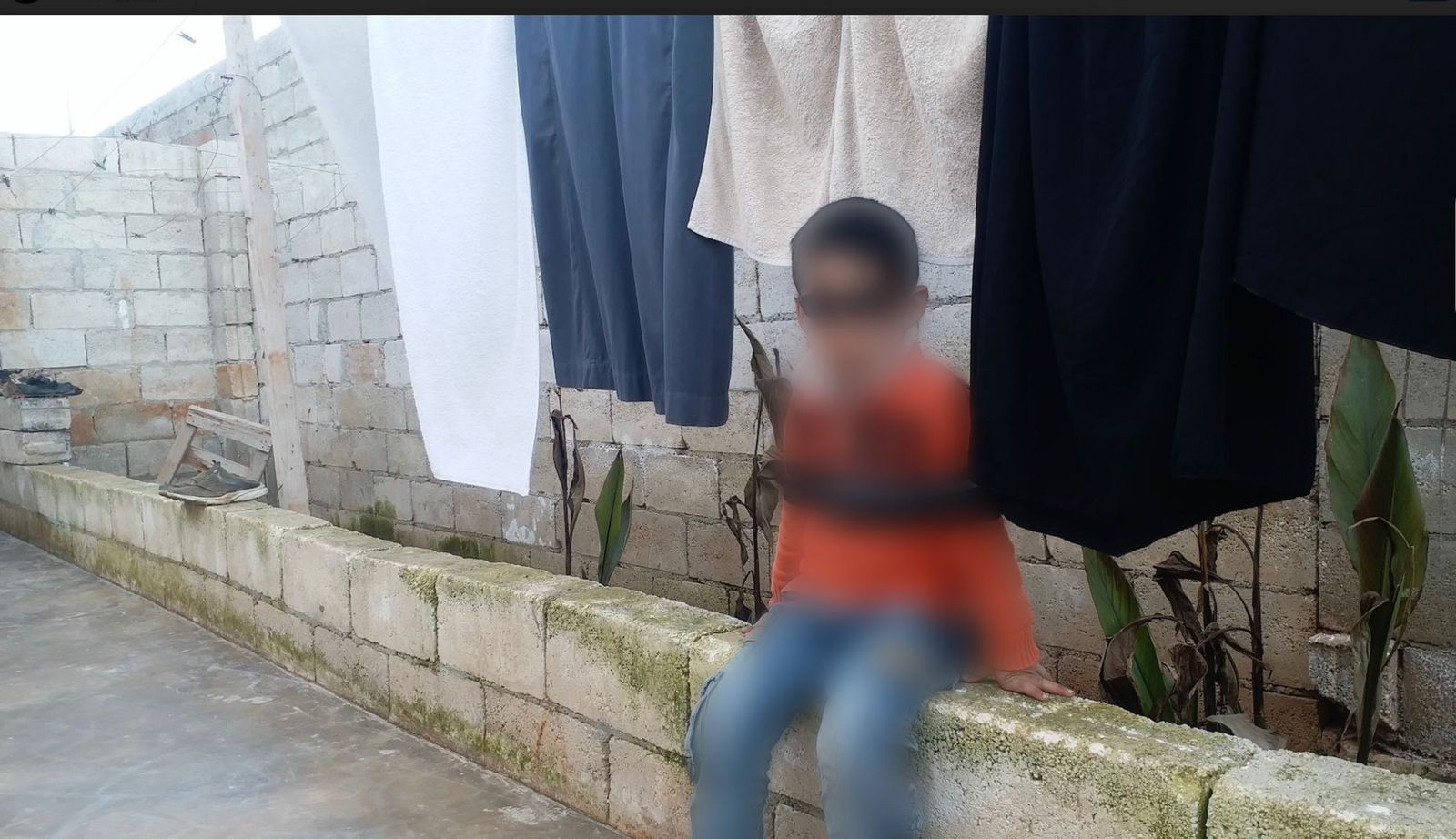 محمود طفل يتيم بحاجة لمساعدتكم