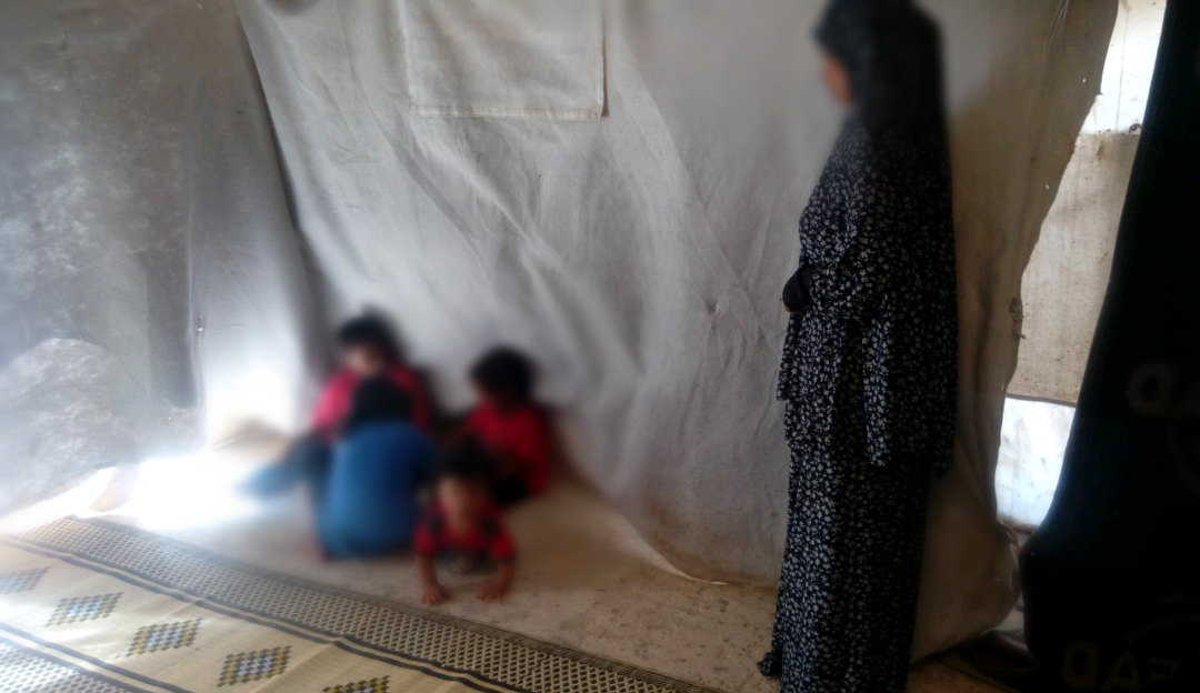 Displacement response case_ Dair Ballut
