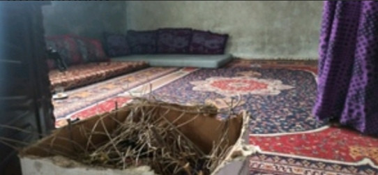 Ziad's family have no breadwinner