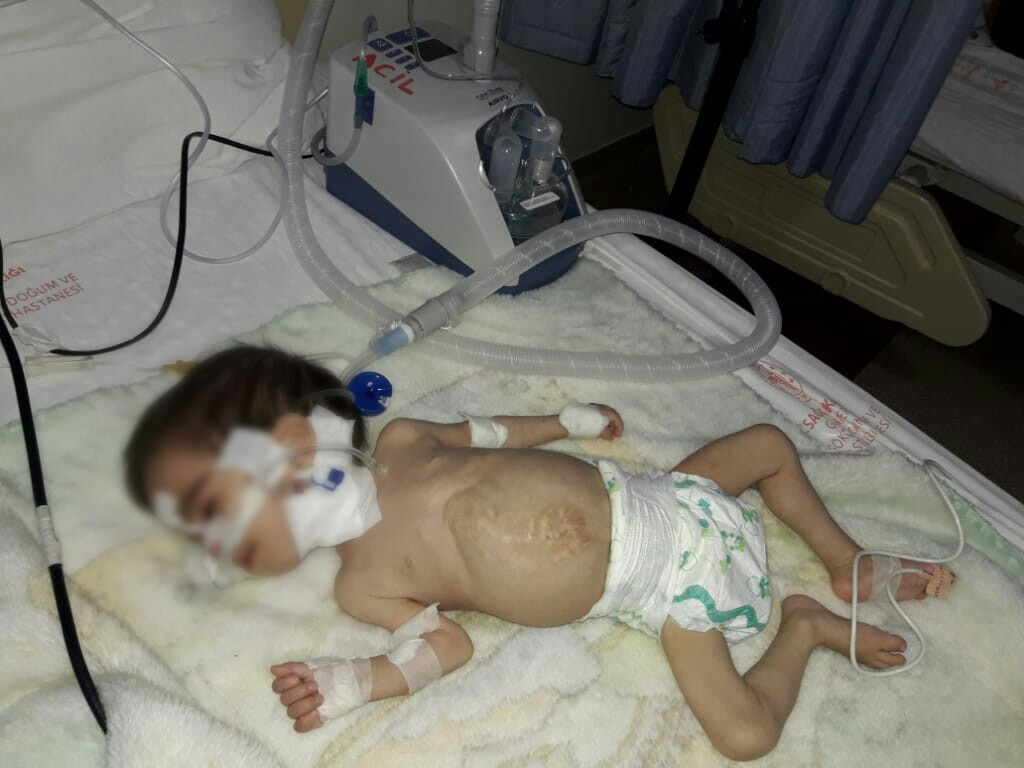 Lailas with cardiac disorder