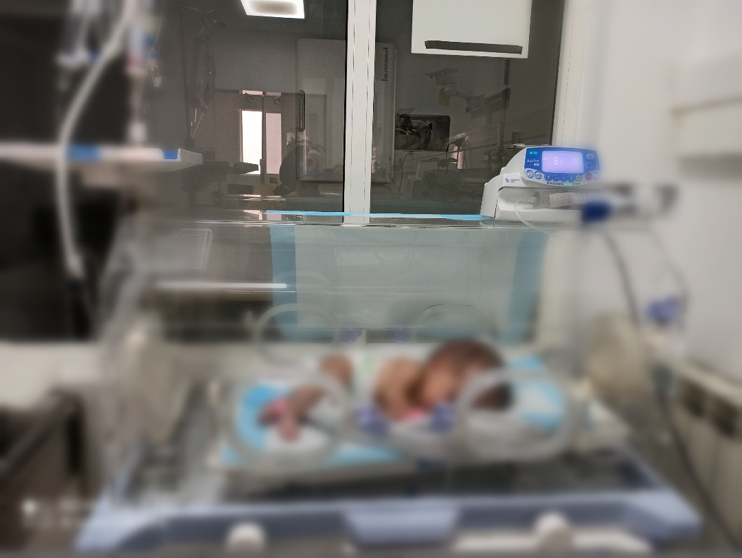 من رحم أمي مهاجرة