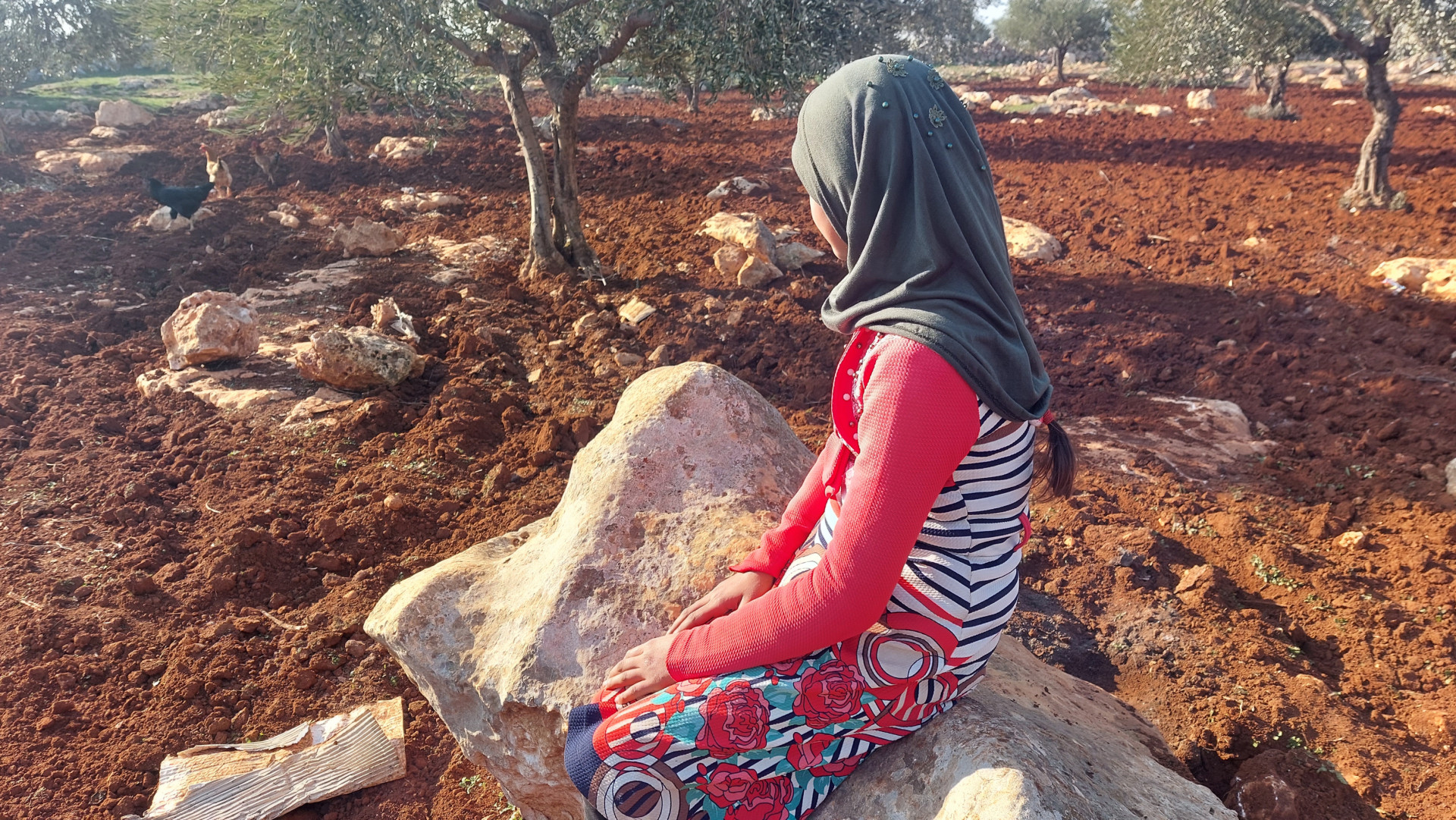 ريماس طفلة يتيمة من مدينة حلب