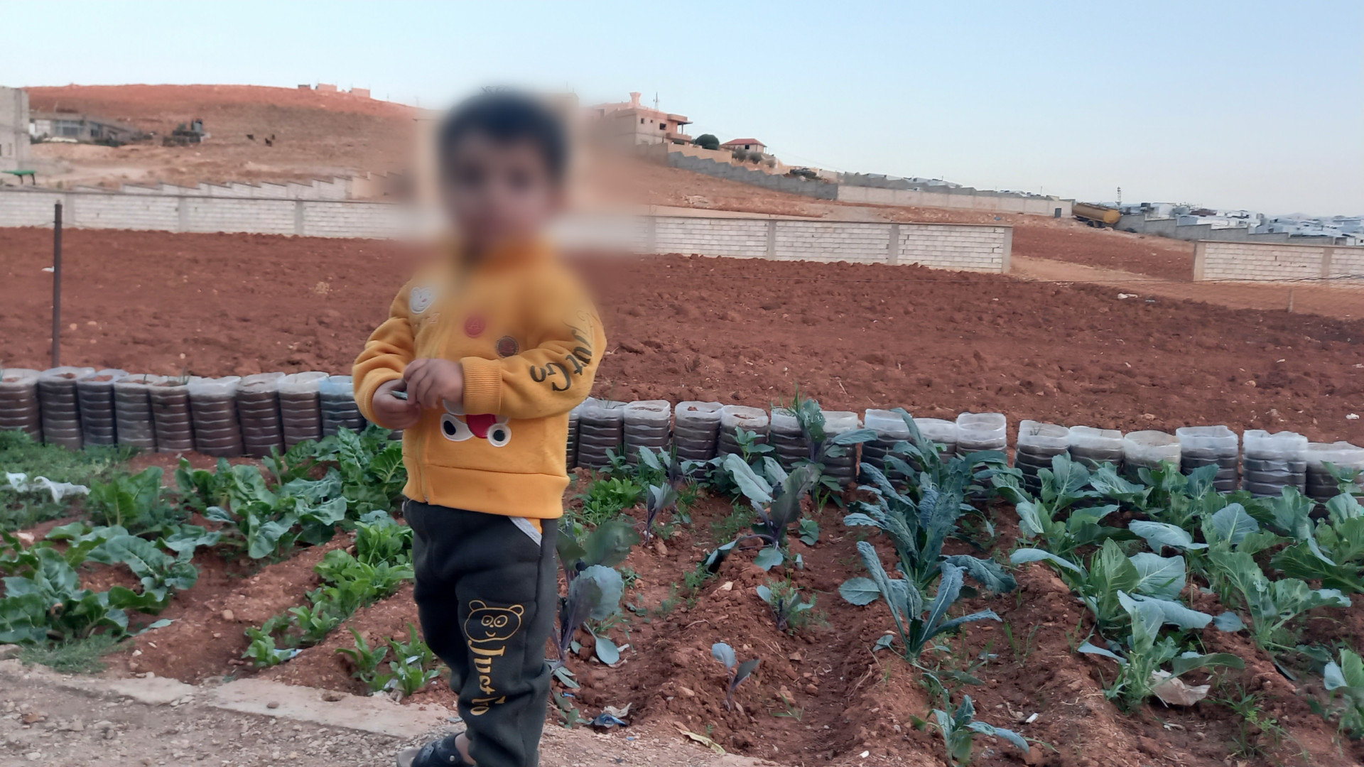 A little boy suffering from Mediterranean fever and needs blood test