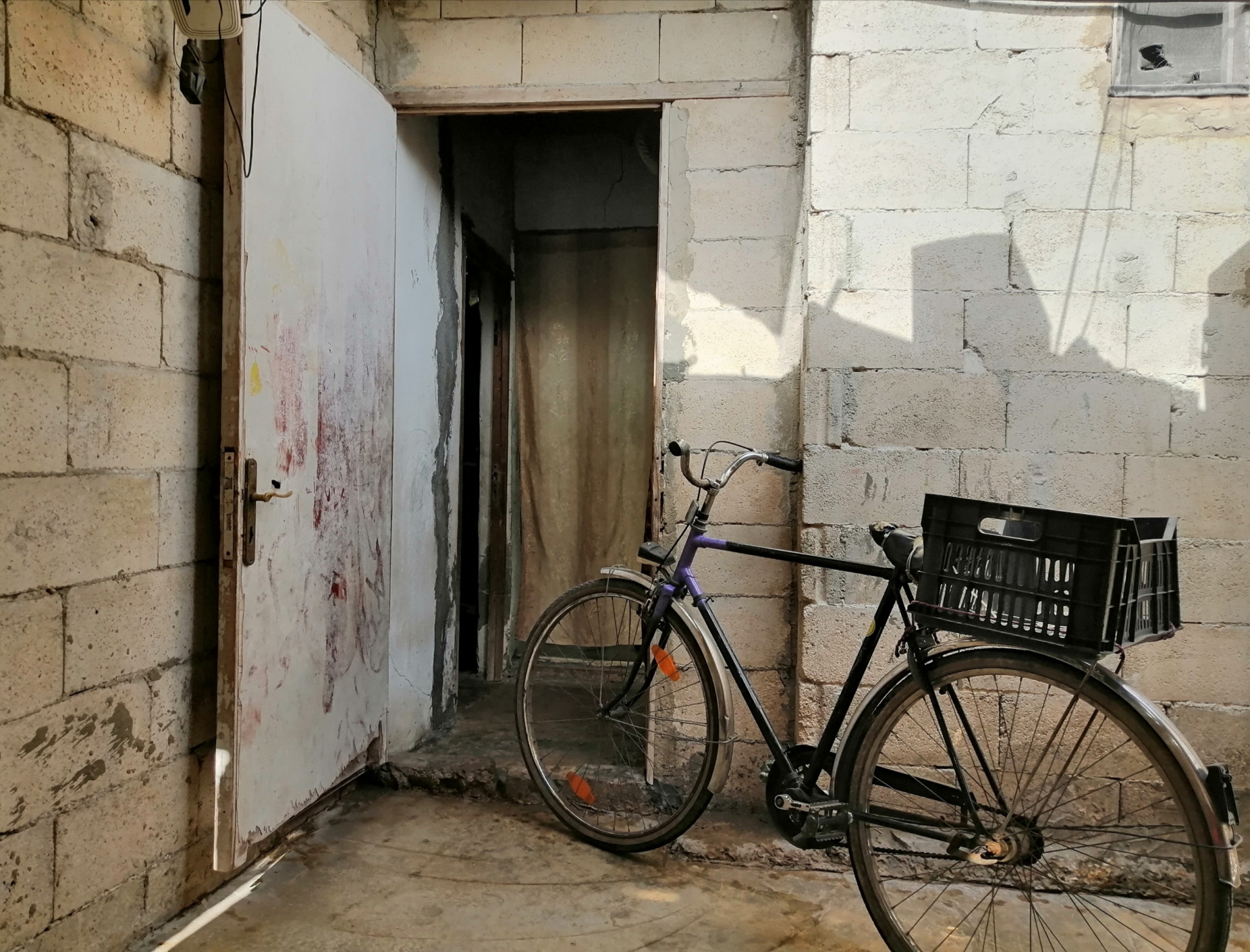 Raghda and her Family Baldly need Help