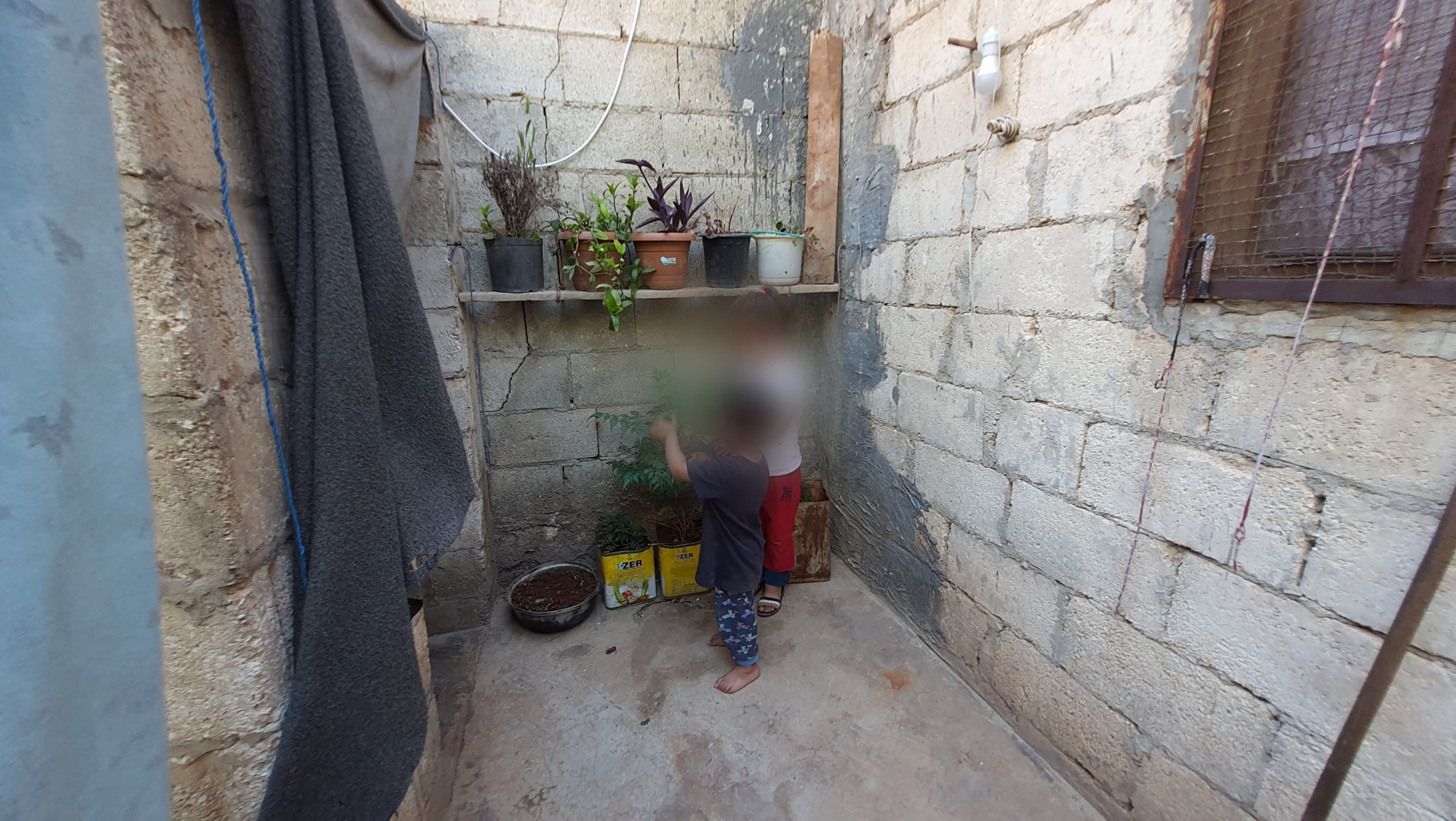 Halima and Her Family Need Help