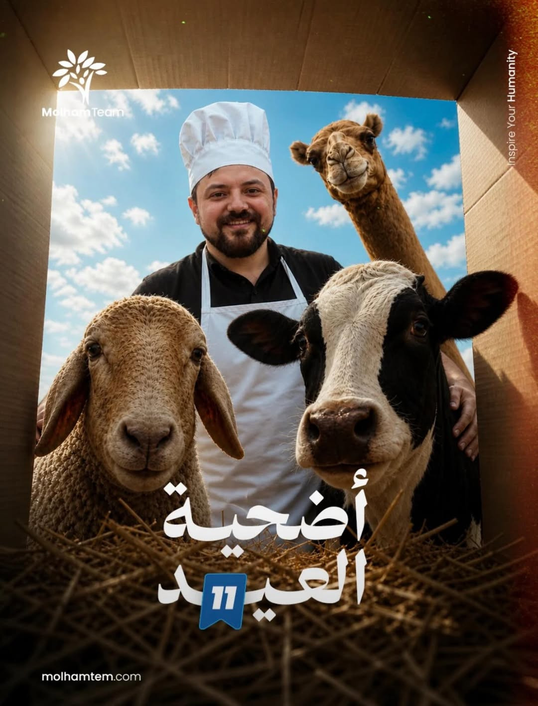 اضحية 11