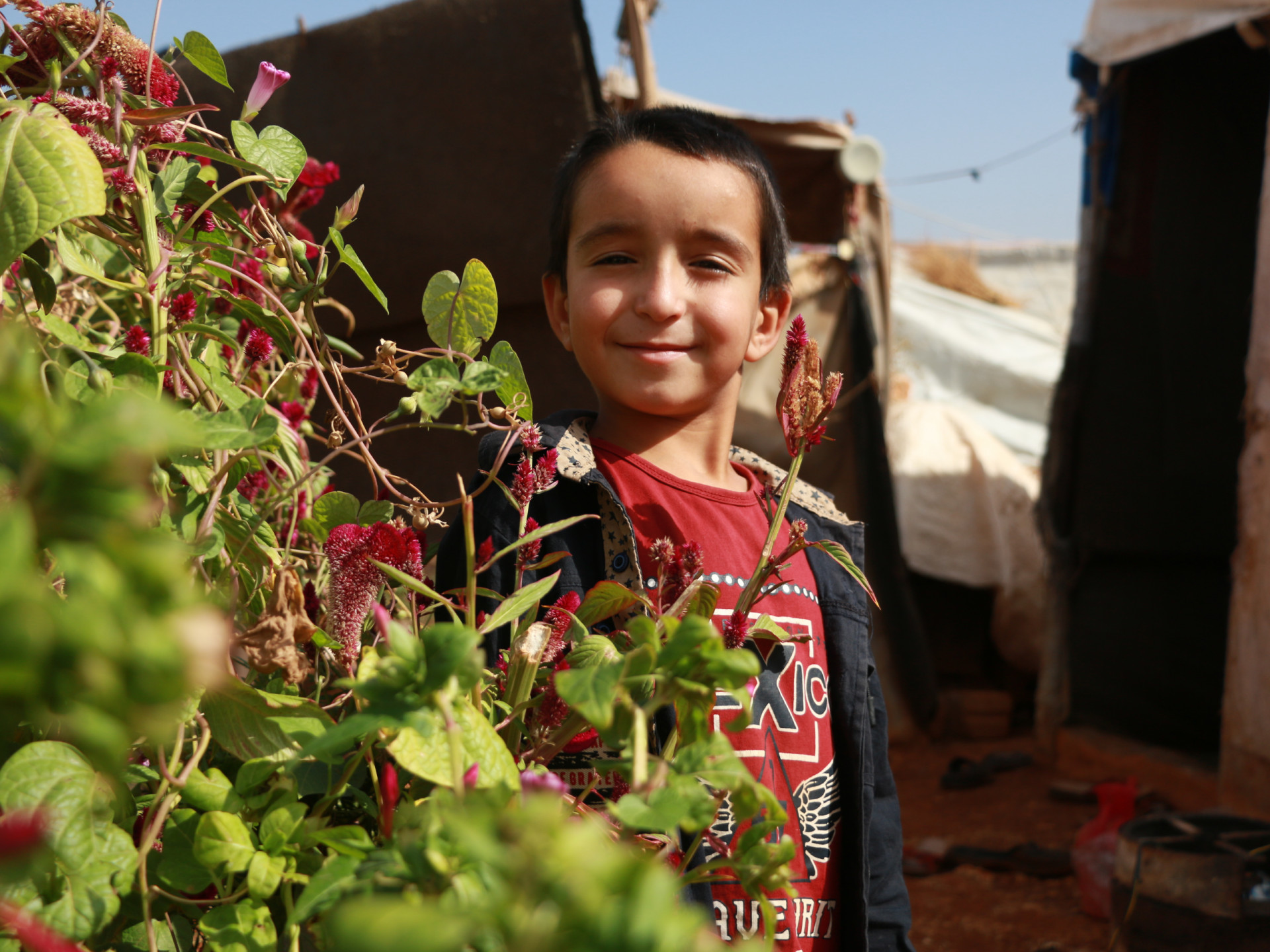 Urwa, an orphan from Idlib countryside needs help.