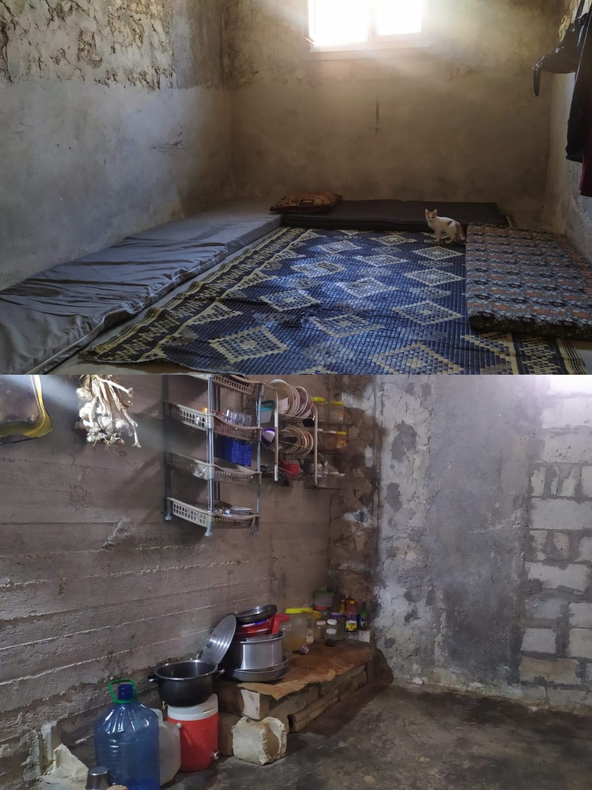 Talal and his family need your help