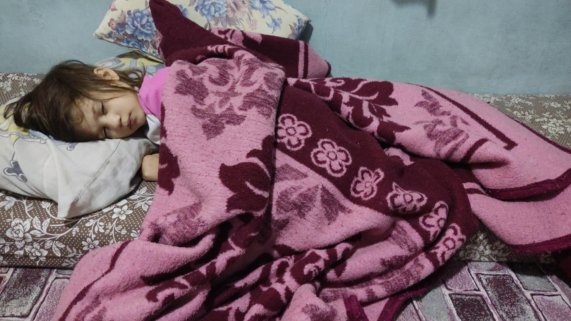Qamar has an enlarged liver and is in constant need of medication