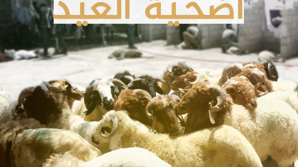 فضل الأضحية في العيد - توكيل الأضحية في سوريا