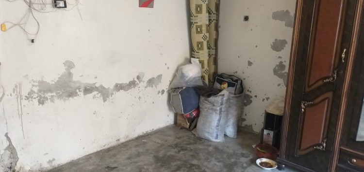 Displacement Response- Darit Ezza