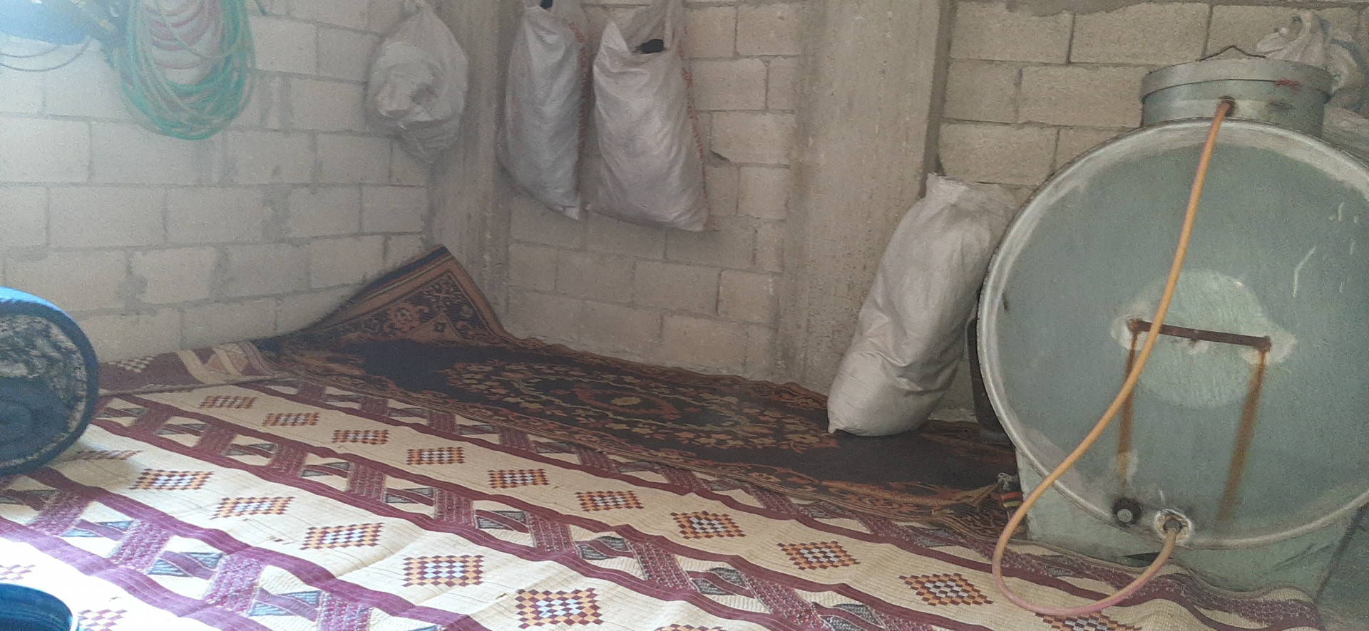 3 displaced families in one home need help