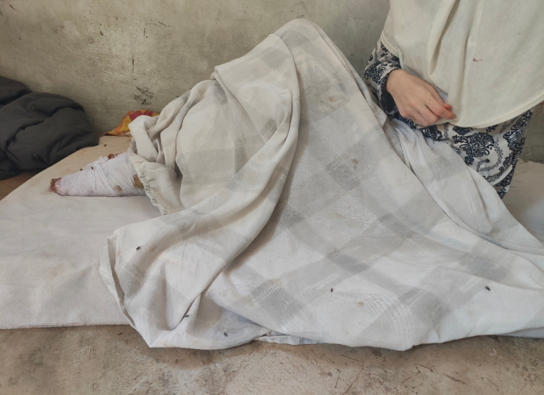أسرةٌ من الإناث بلا معيل