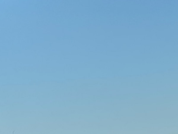 عقيقة عن Selma Fazlic