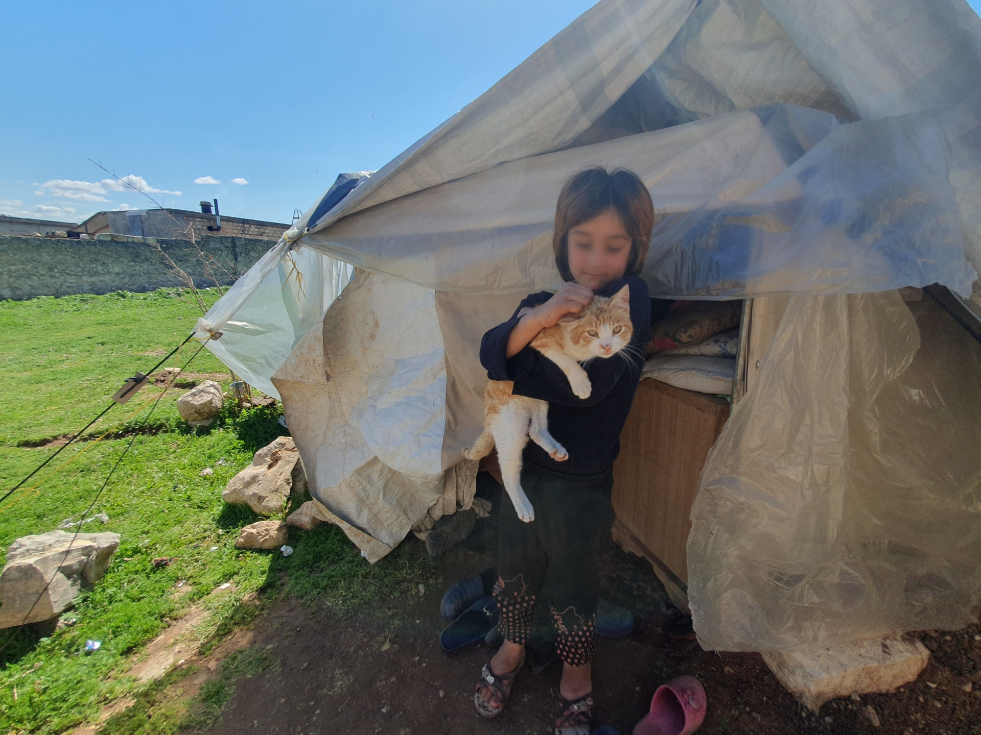 Orphans, disabled people and a house demolished!