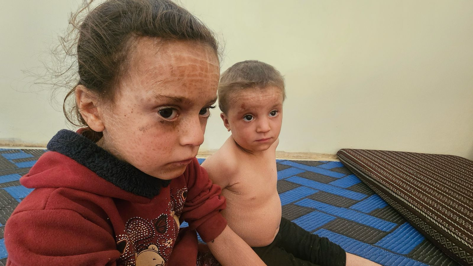 الكفالات الانسانية