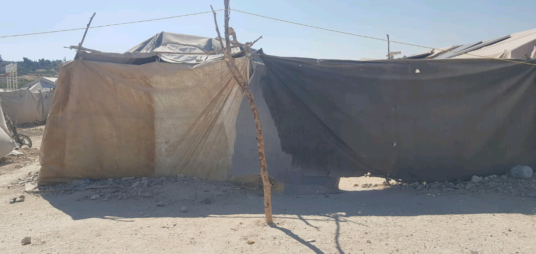 Displacement response case_ Dair Ballut