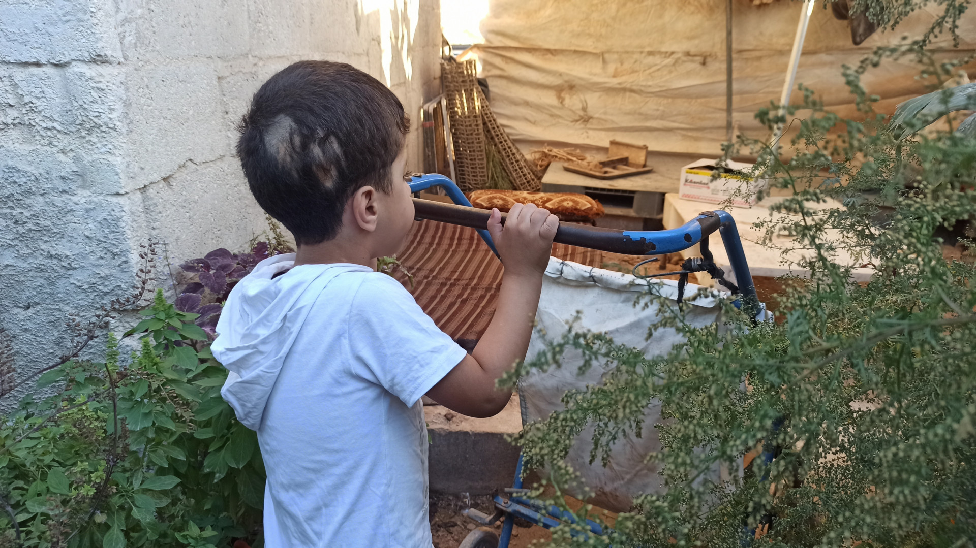 Mohammad suffers from cerebral atrophy