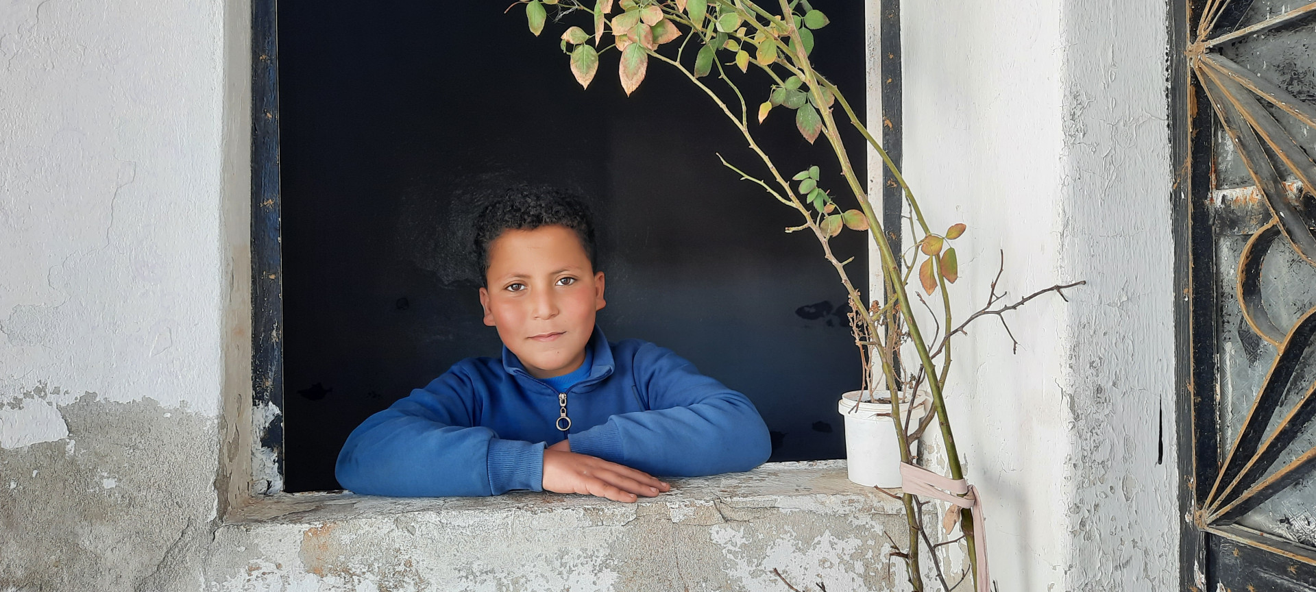 Ali from Raqqa