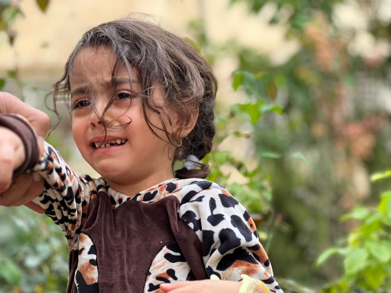 A child needs kidney and gallbladder removal surgery