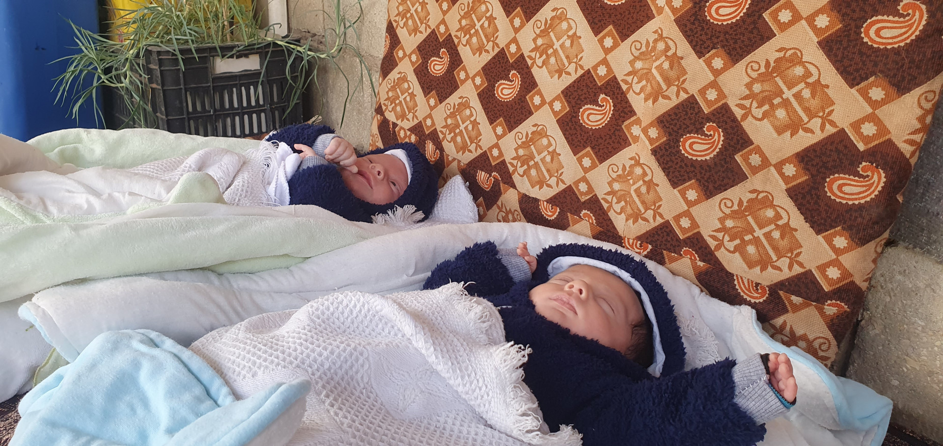 Because of the high prices and the difficulty of living, the family is unable to provide for the needs of their children.