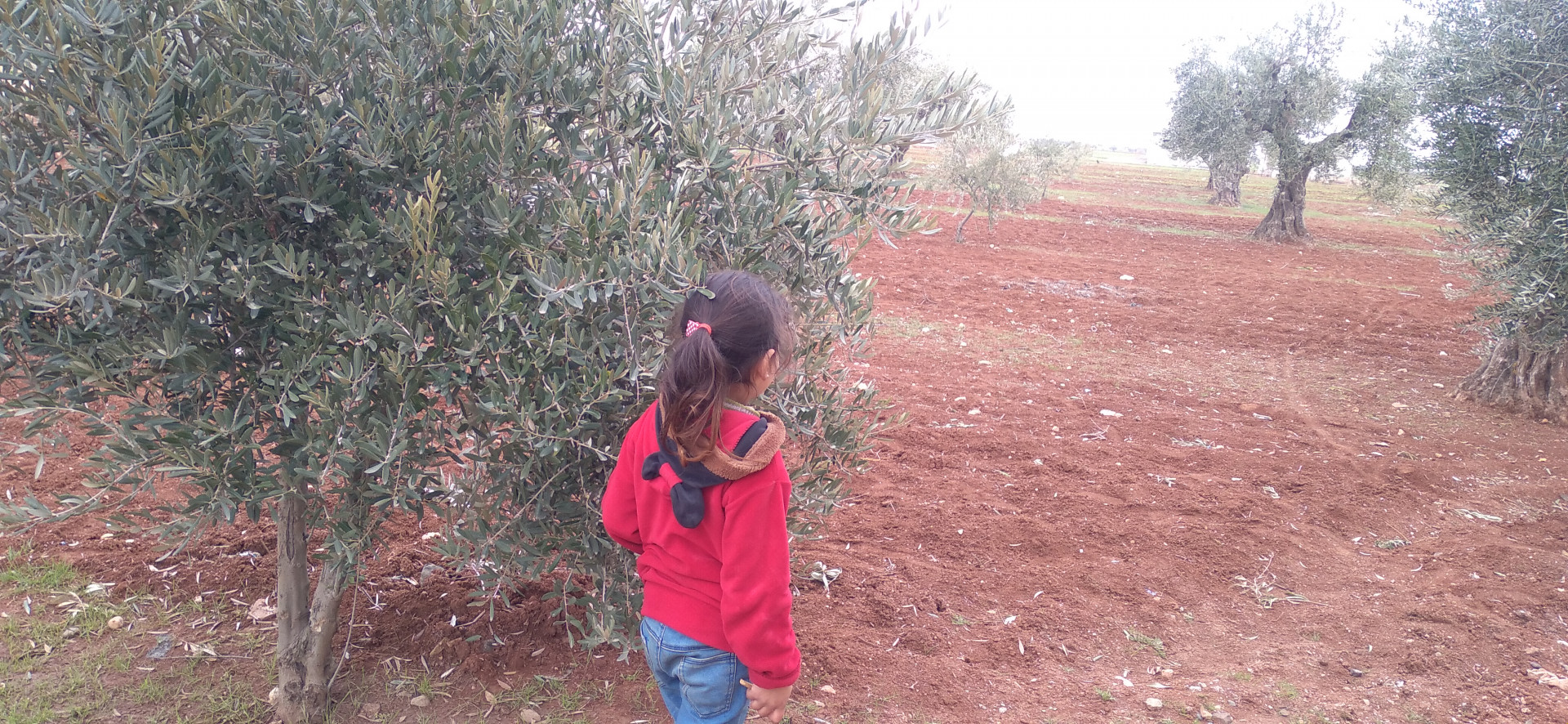 Aiyna'a is an orphaned girl, needs support