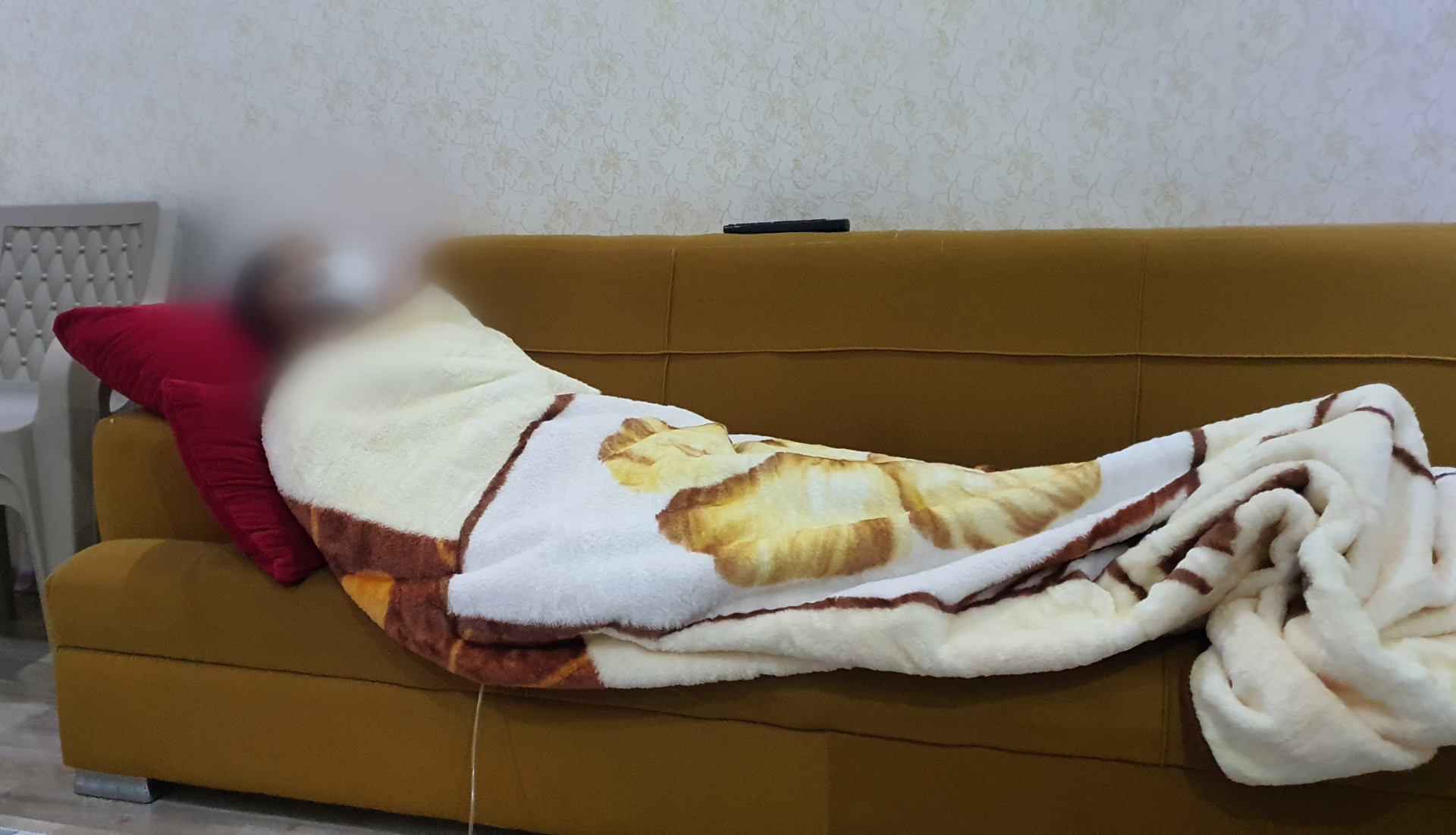 تشمع بالكبد قلب حياة العم أبو محمد وحولها كلياً