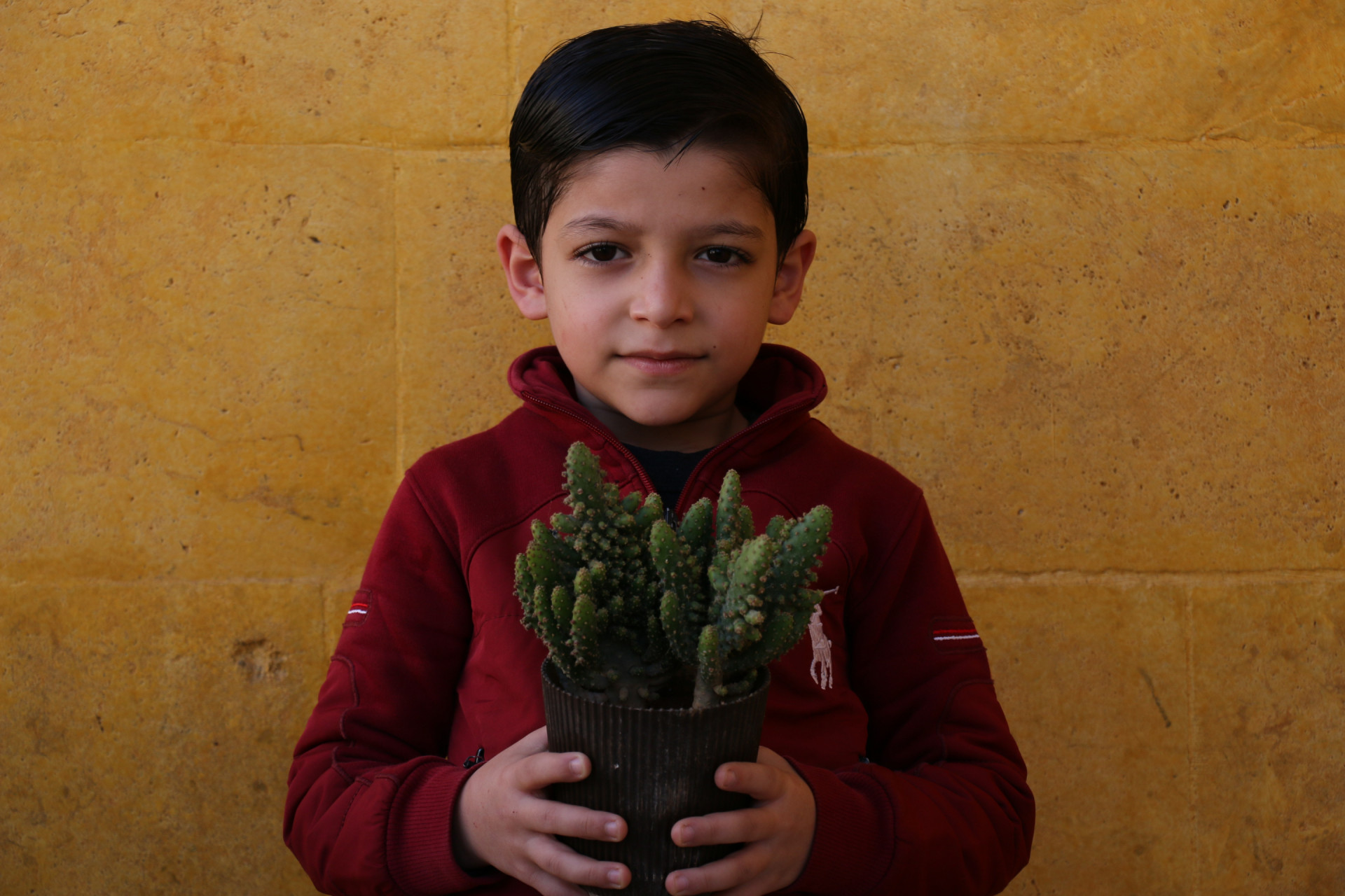 محمد جاد من مدينة إدلب