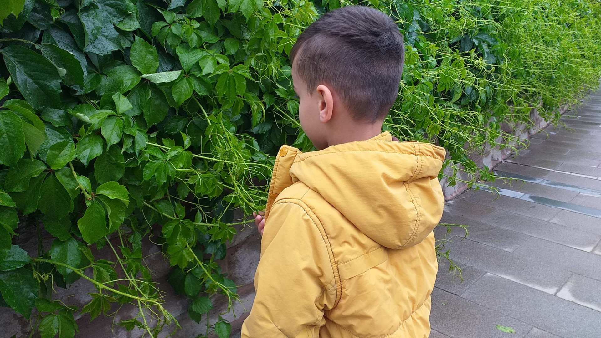 Hasan is orphan and needs your support