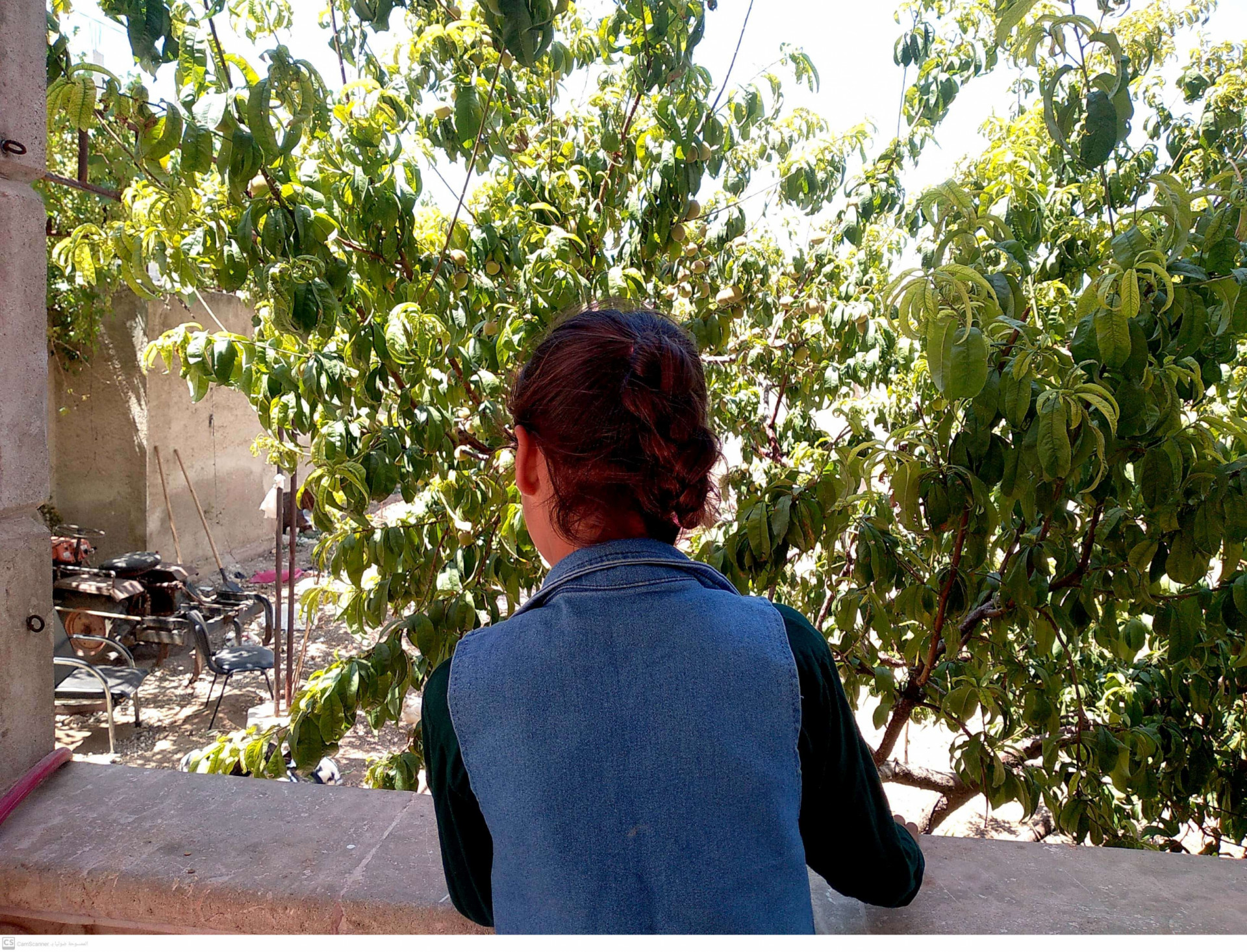 DalaL is an orphaned girl from Aleppo