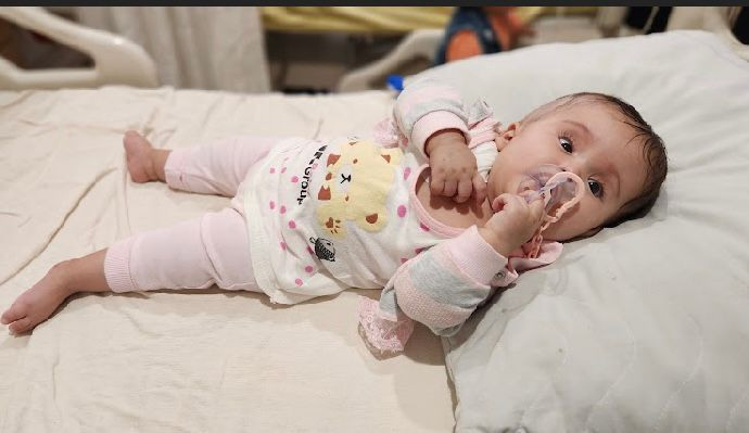 Wateen needs urgent surgery!