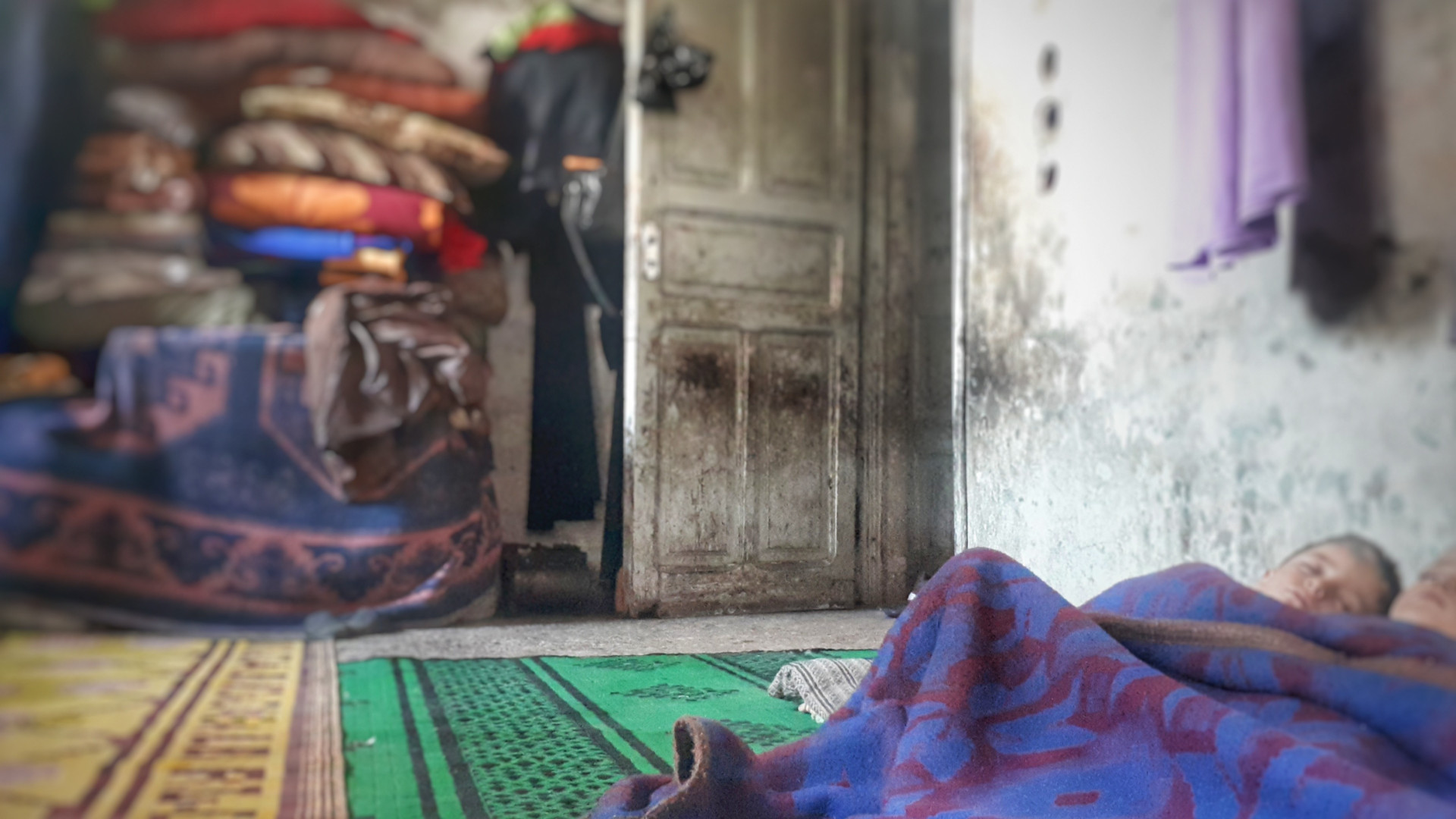 Five widows in two rooms that lacks the basic needs of living.